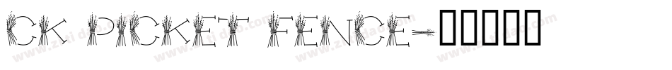 CK Picket Fence字体转换